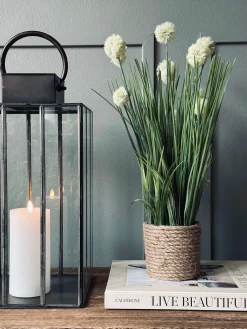 Blomst i potte