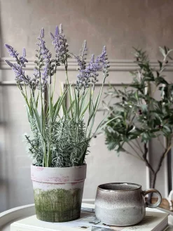 Blomst i potte