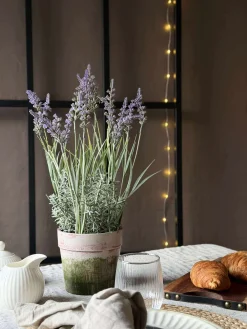Blomst i potte