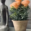 Blomst i rustik potte - Coral
