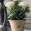 Blomst i rustik potte - Hvid