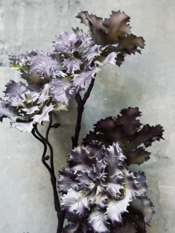 Blomst nellike