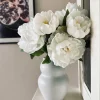 Blomst Pæon hvid