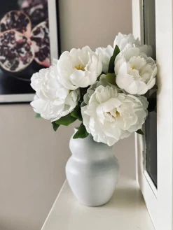 Blomst Pæon hvid
