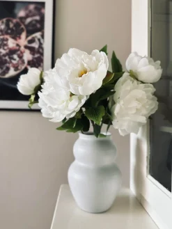 Blomst Pæon hvid