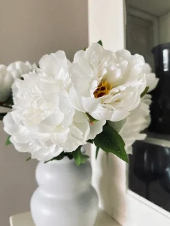 Blomst Pæon hvid