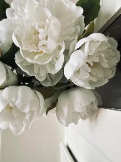 Blomst Pæon hvid