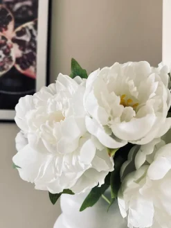 Blomst Pæon hvid