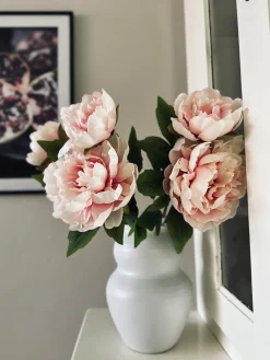 Blomst Pæon pink