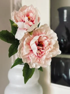 Blomst Pæon pink