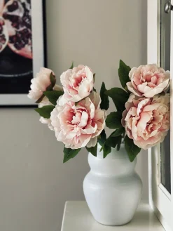 Blomst Pæon pink