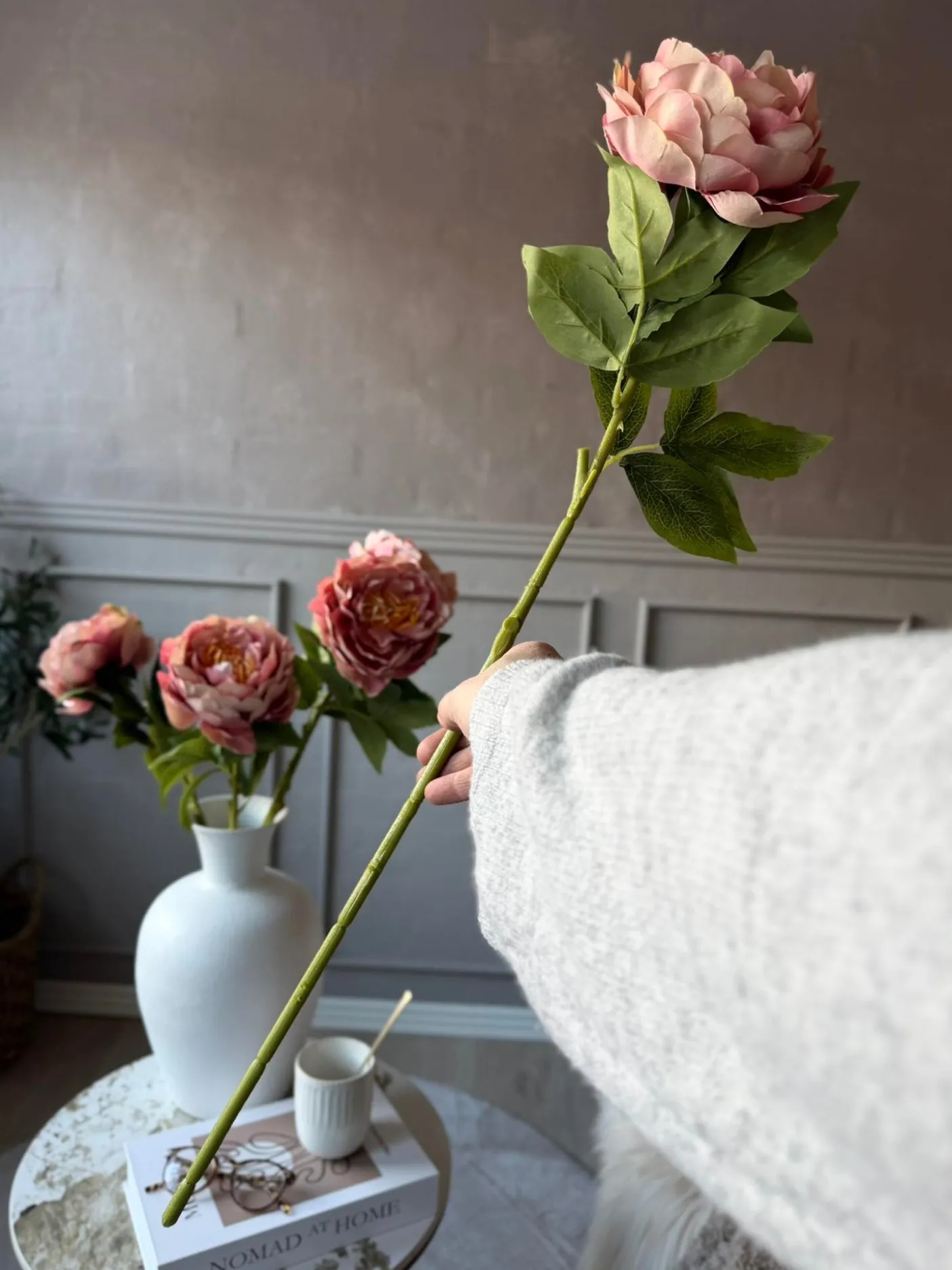 Blomst Pæon Rosa