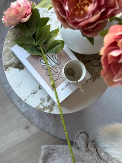 Blomst Pæon Rosa