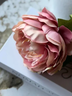 Blomst Pæon Rosa