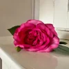 Blomst Rose Mørk pink