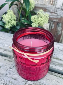 Citronella Rød
