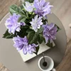 Dahlia i potte - Lilla