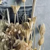 Evighedsbuket - Sanna nature