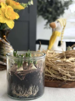 Glas til dekoration