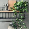 Hængeplante - Fresh green