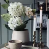 Hortensia i potte - Hvid