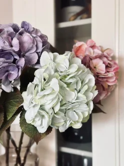 Hortensia Lime/hvid