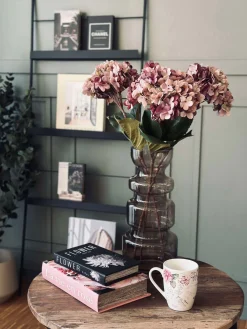 Hortensia Old Rose
