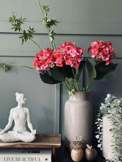 Hortensia Pink