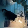 Lampe genopladelig