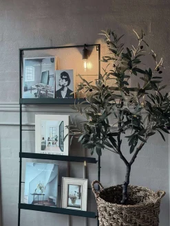 Lampe genopladelig
