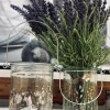 Lanterne Flora - Mix