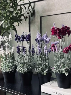 Lavendel 40cm - Lys lilla