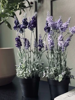 Lavendel 40cm - Mørk Lilla