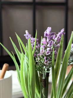 Lavendel moskugle