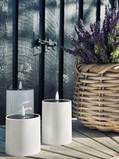 Lavendel på stilk