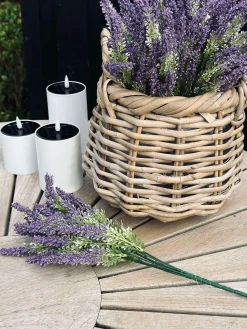 Lavendel på stilk