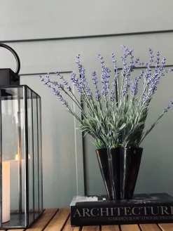 Lavendel på stilk