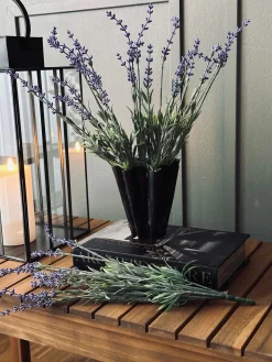 Lavendel på stilk