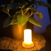 LED Flame – God til lanterner og græskar