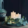 Lyskæde med eucalyptus