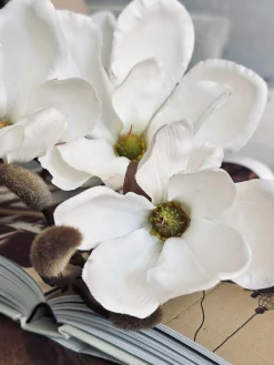 Magnoliagren - 92cm