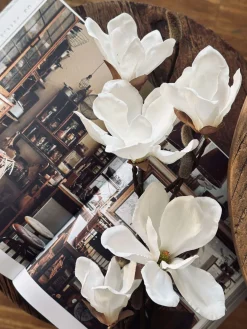 Magnoliagren - 92cm