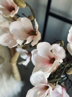 Magnoliagren pink - 92cm