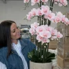 Orkidé i Potte 105 cm - Rosa