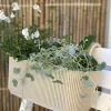 Plantekasse med ophæng – Creme