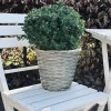 Plantekurv 20 cm
