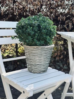 Plantekurv 20 cm