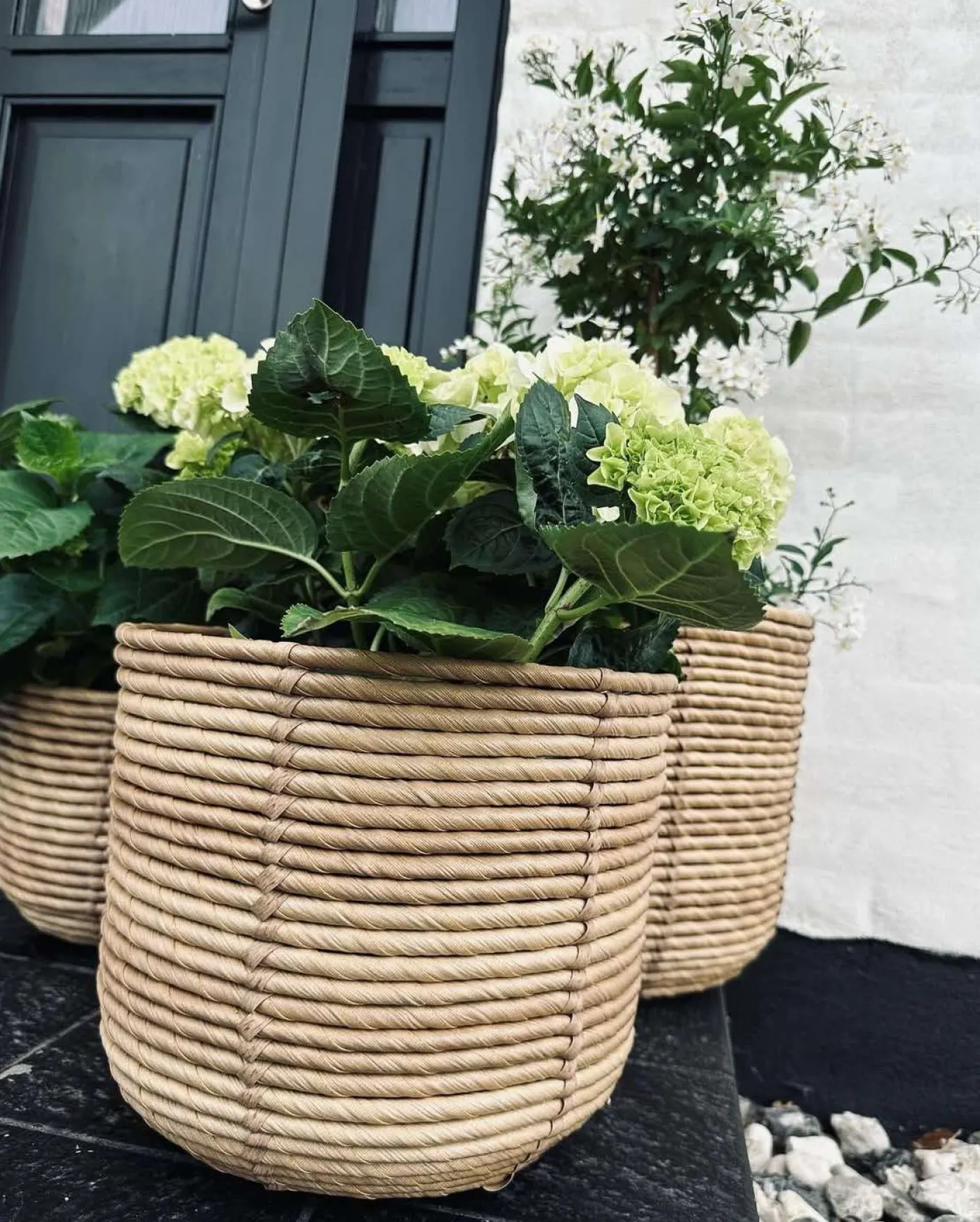 Plantekurve RATTAN BIG - Sæt med 3 størrelser