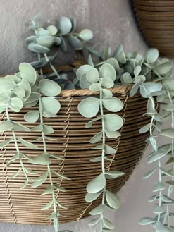 Plantekurv Rattan
