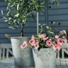 Plantespand - Zink small